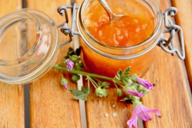 Einkochen wie der Wirt: Marillenchutney mit Regenbogen - Wirtshausführer