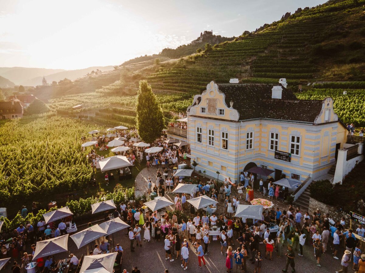 Domäne Wachau & Friends wieder mit Musik & Wine 2024