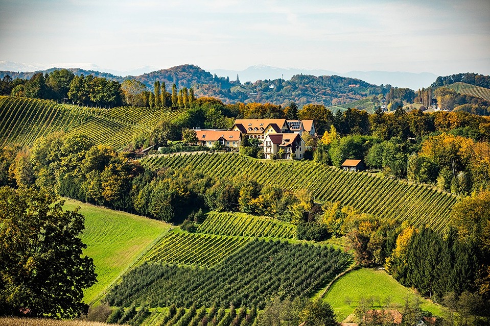 Sattlerhof – hervorragendes Wirtshaus, Restaurant und Weingut unter einem Dach