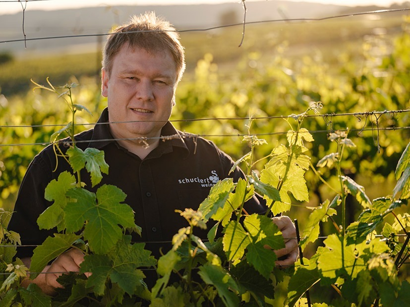 Weingut Rainer Schuckert – der Alleskönner