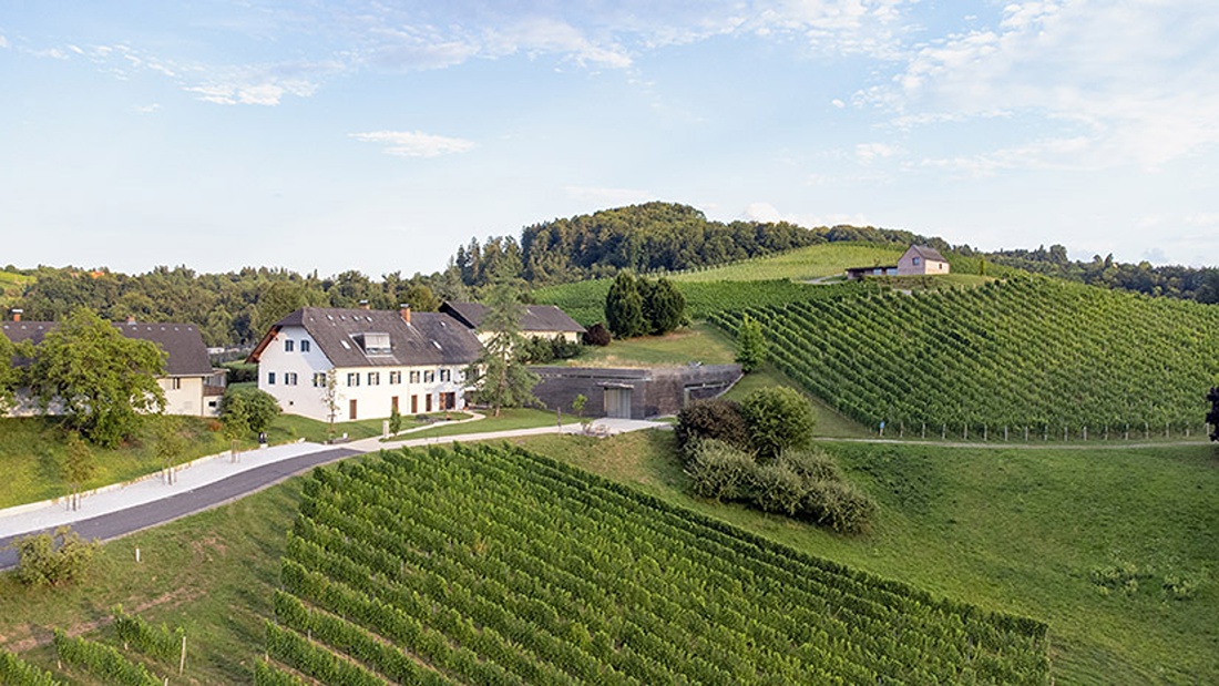Weingut Lackner-Tinnacher – im Tal der Wein-Individualisten