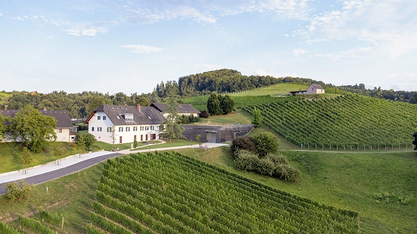 Weingut Lackner-Tinnacher – unaufgeregt mit der Natur verbunden