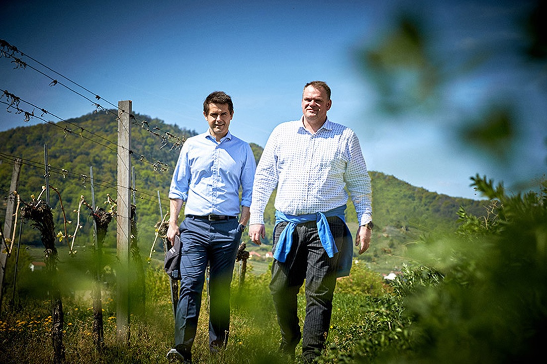 Weingut Domäne Wachau – Weltklasse vom Donaustrom