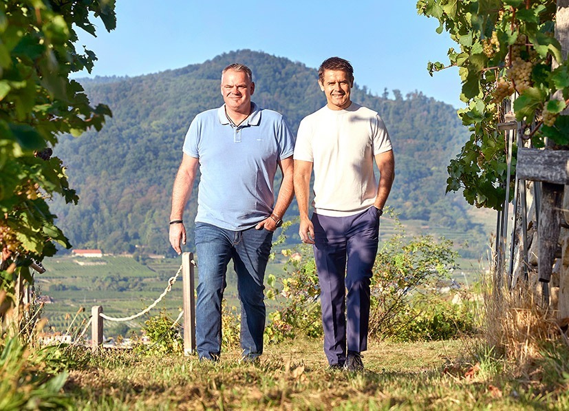 Weingut Domäne Wachau – Weltklasse vom Donaustrom