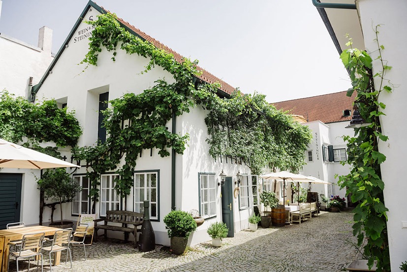 Weingut Steininger – gut Ding braucht Weile
